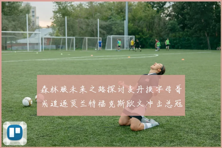 森林狼未来之路探讨麦丹换字母哥或追逐莫兰特福克斯欧文冲击总冠军